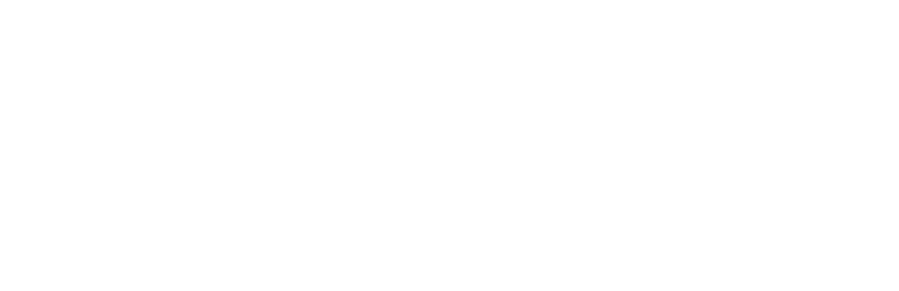 Dall'università alla scuola: ponti verso la professione